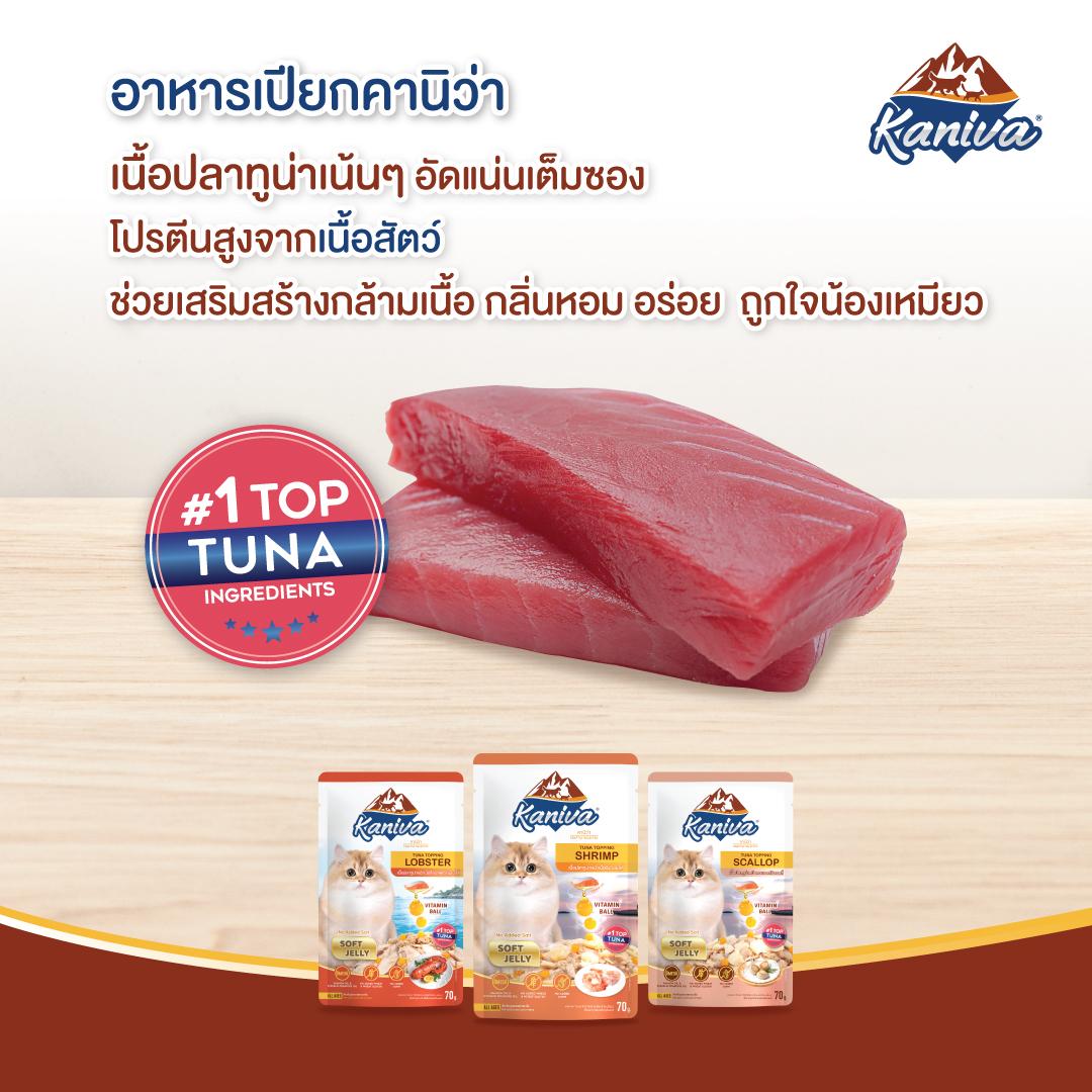 [ขายปลีก] Kaniva Pouch อาหารเปียกแมว คานิว่า แบบซอง ขนาด 70 กรัม