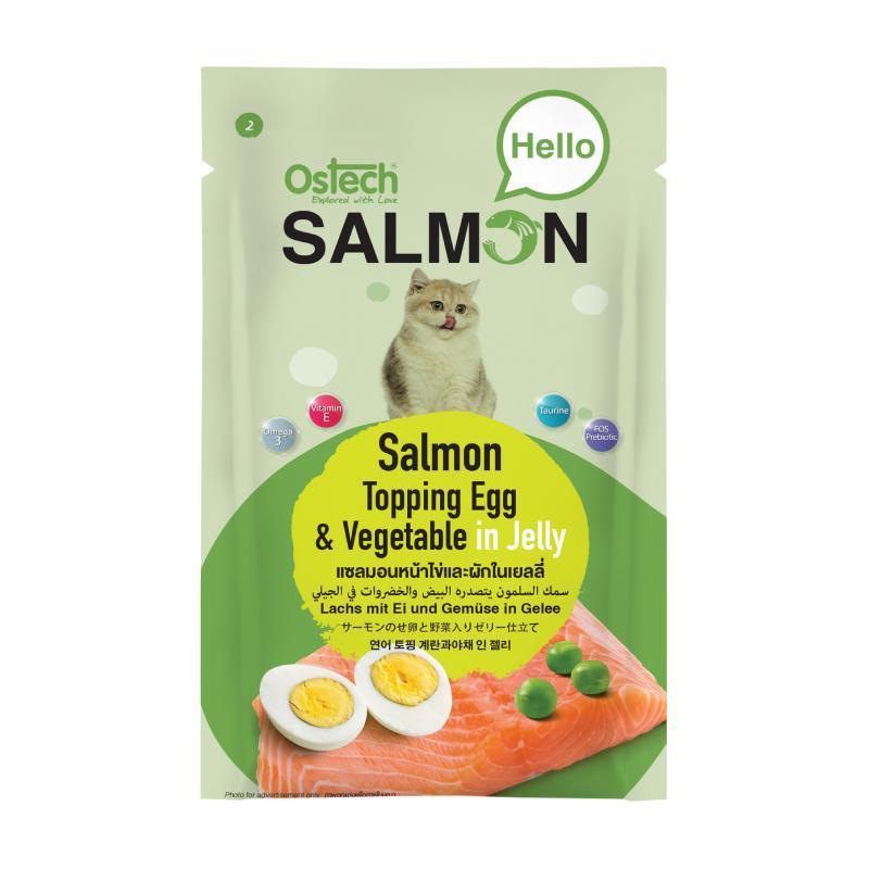 [ยกลัง 48 ซอง] Ostech Hello Salmon อาหารเปียกแมวออสเทค ฮัลโหล แซลมอน ในเยลลี่ เนื้อแซลมอนเน้นๆ ขนาด 70 กรัม