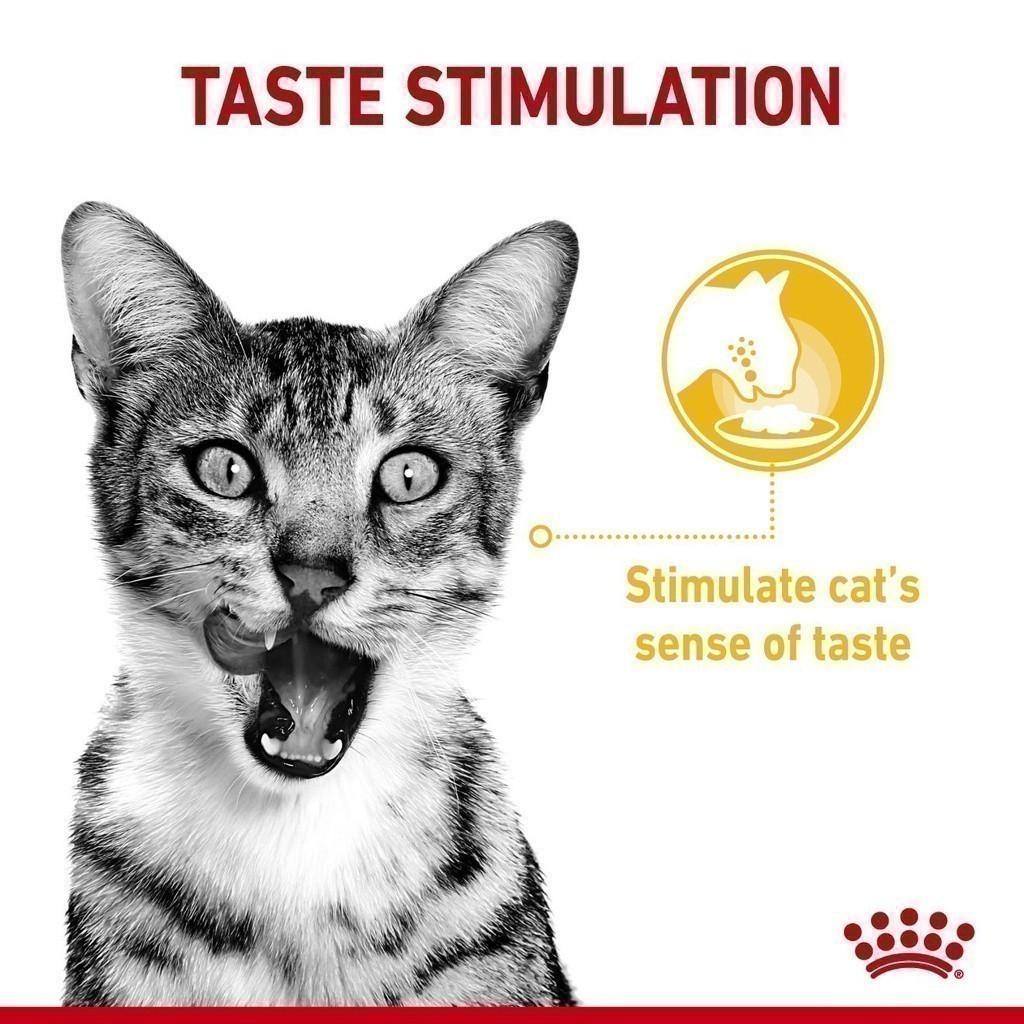 [ยกกล่อง 12 ซอง] Royal Canin Sensory Taste Pouch อาหารเปียกแมวโต กินอาหารยาก เลือกกิน รสชาติพิเศษ อายุ 12 เดือนขึ้นไป (Wet Cat Food, โรยัล คานิน)