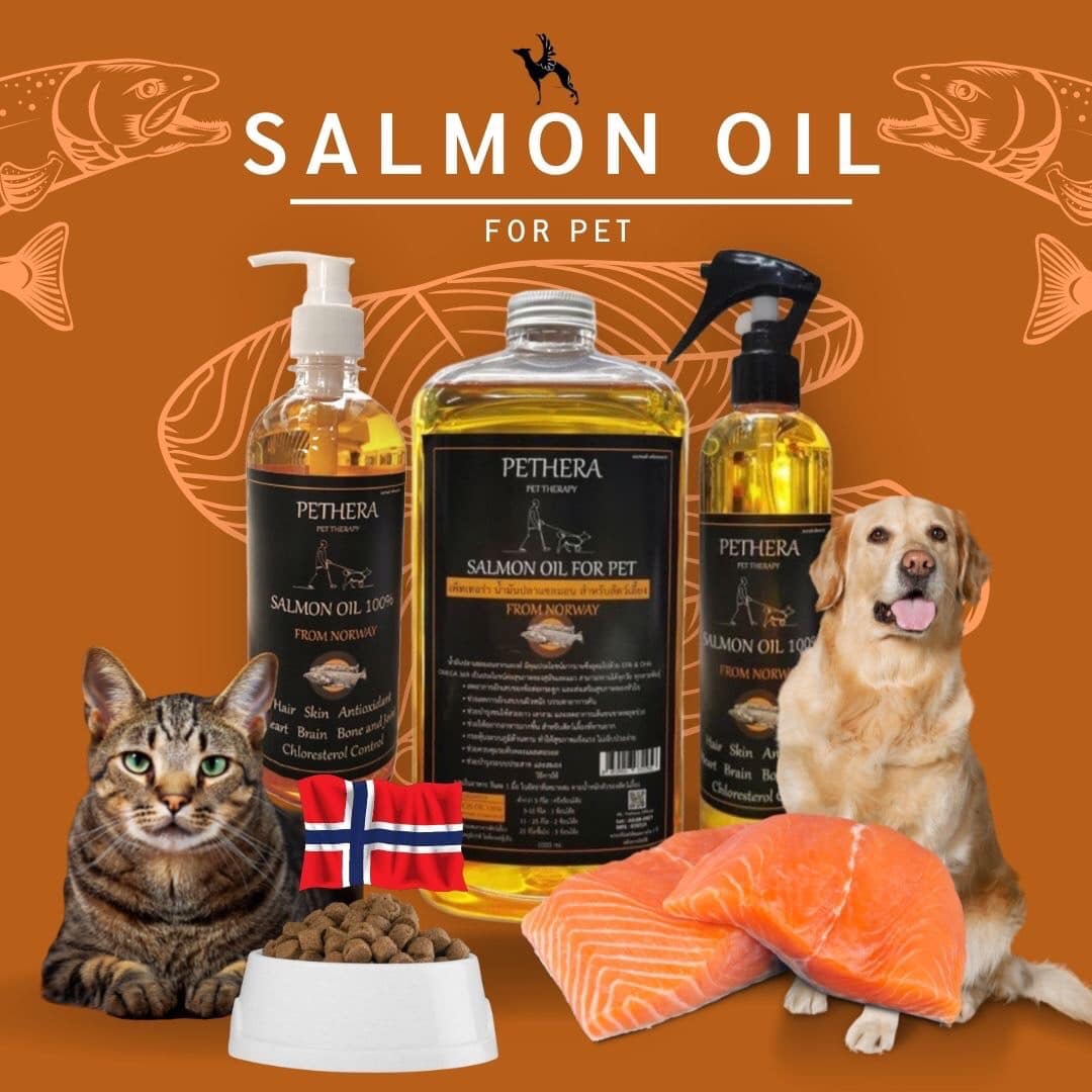 น้ำมันปลาแซลมอน Salmon Oil Pethera ขนาด 320,500,1000 ml. น้ำมันปลาแซลมอน กระตุ้นความอยากอาหาร เสริมภูมิต้านทาน บำรุงขนสวยเงางาม บำนุงผิวหนังแข็งแรง