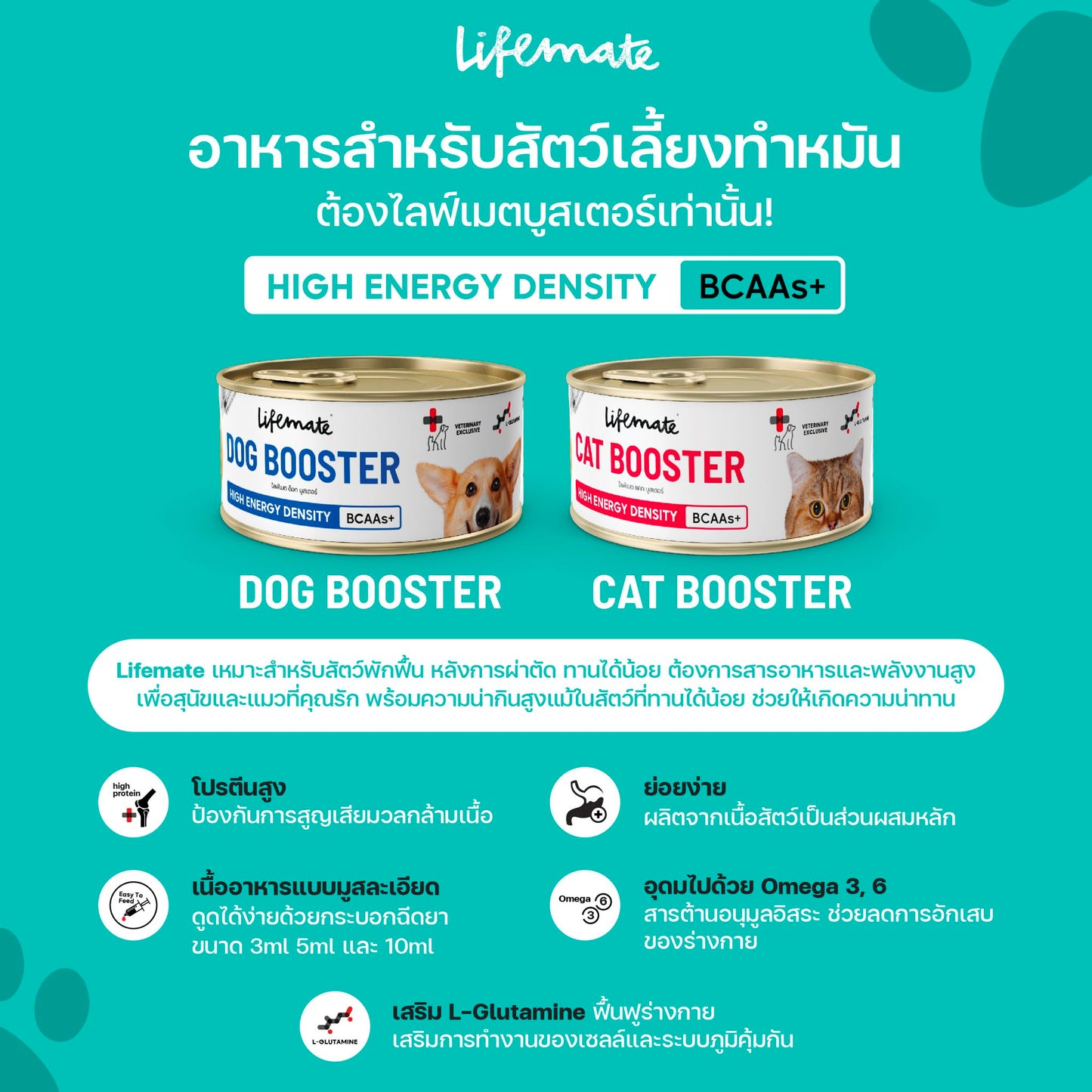 Lifemate Cat Booster อาหารพักฟื้นสูตรโภชนาการครบถ้วน อาหารเปียกเพิ่มพลังงาน สำหรับแมว ขนาด 150 กรัม