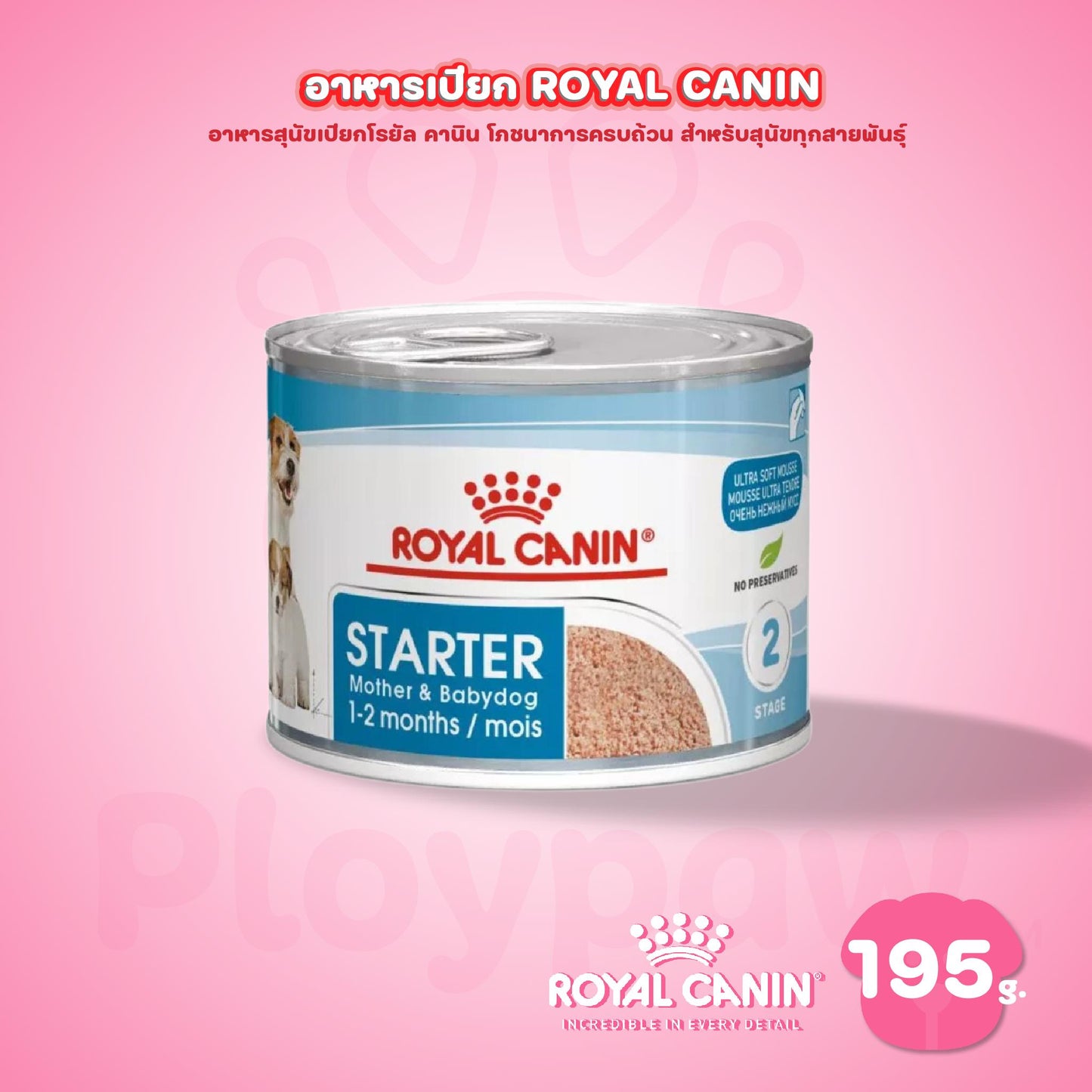 [1 กระป๋อง] Royal Canin Starter Mousse อาหารเปียกแม่สุนัข ตั้งท้อง 6 สัปดาห์ขึ้นไป - ให้นม และ ลูกสุนัขหย่านม อายุ 1-2 เดือน (เนื้อมูส, Canned Dog Food, โรยัล คานิน)