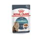 [ปลีก 1 ซอง] ROYAL CANIN Pouch อาหารเปียก รอยัล คานิน  สำหรับแมวทุกช่วงวัย ขนาดซอง 85 กรัม(g.)