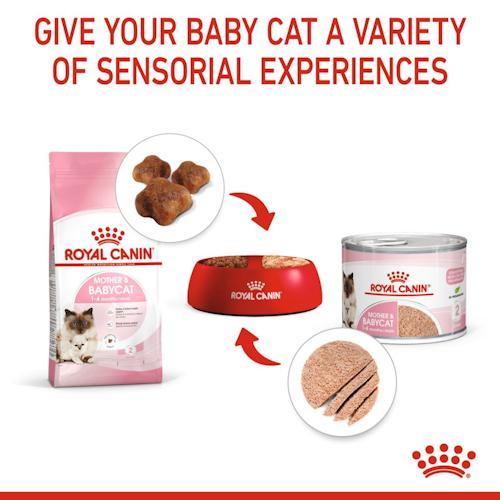 Royal Canin Mother&Baby อาหารเปียกรอยัลคานิน สำหรับแม่และลูกแมว ขนาด 195 กรัม