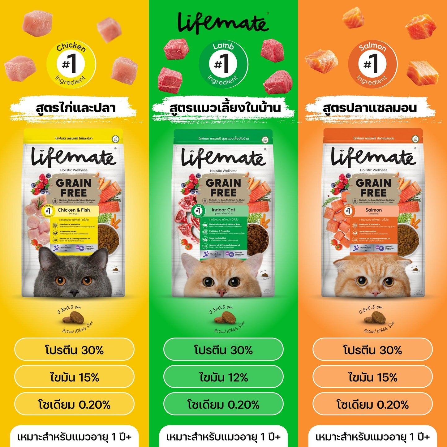 Lifemate Grainfree Holistic wellness อาหารแมวไลฟ์เมท ปราศจากธัญพืช ขนาด 1.2-1.3 กก. [ประหยัดกว่า]