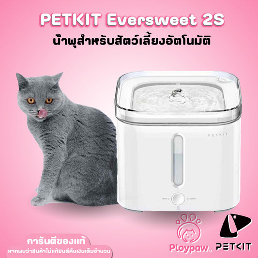 PETKIT Eversweet 2S ประกันศูนย์ไทย 1 ปี น้ำพุแมวอัตโนมัติ ขนาดความจุ 2 ลิตร