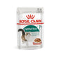 [ปลีก 1 ซอง] ROYAL CANIN Pouch อาหารเปียก รอยัล คานิน  สำหรับแมวทุกช่วงวัย ขนาดซอง 85 กรัม(g.)