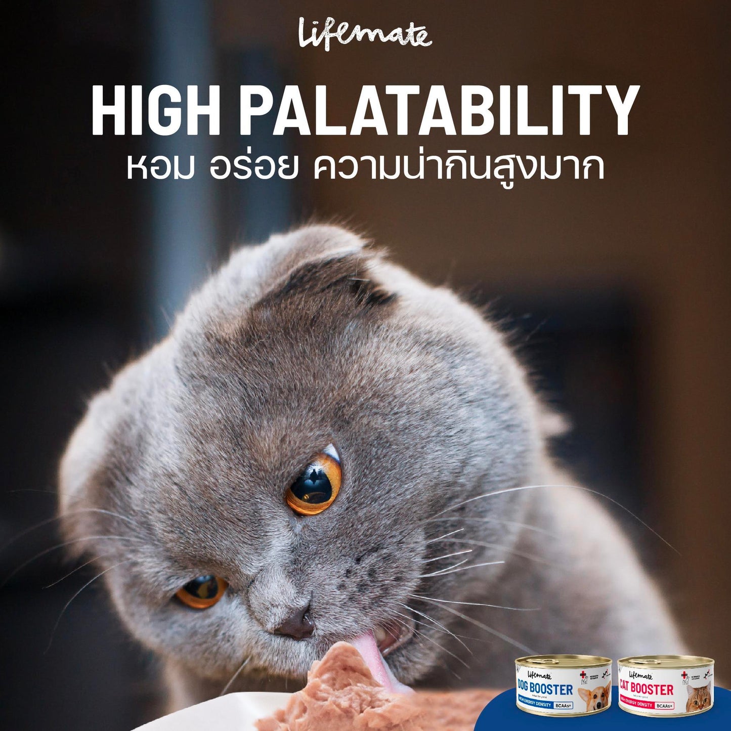 Lifemate Cat Booster อาหารพักฟื้นสูตรโภชนาการครบถ้วน อาหารเปียกเพิ่มพลังงาน สำหรับแมว ขนาด 150 กรัม