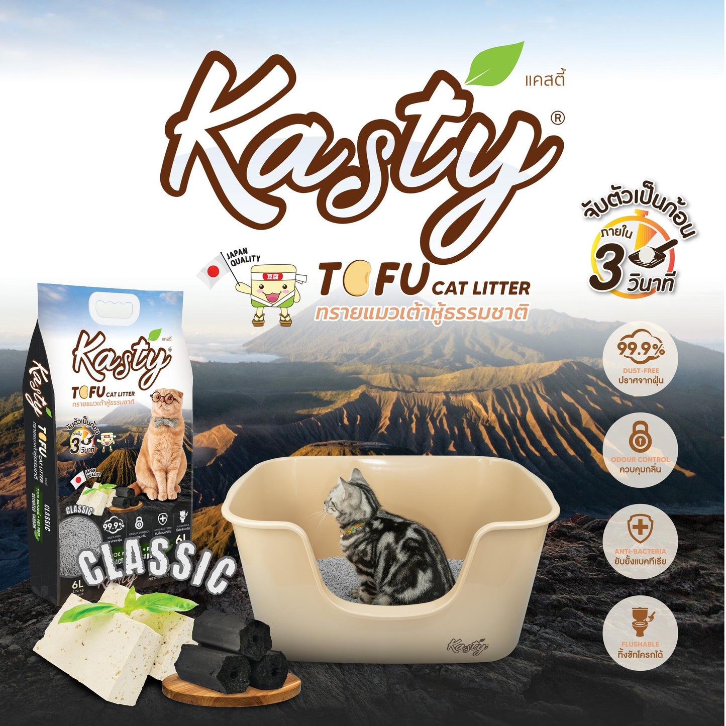 [10L] Kasty แคสตี้ ทรายแมวเต้าหู้ธรรมชาติ ขนาด 10 ลิตร ปราศจากฝุ่น ทิ้งลงชักโครกได้