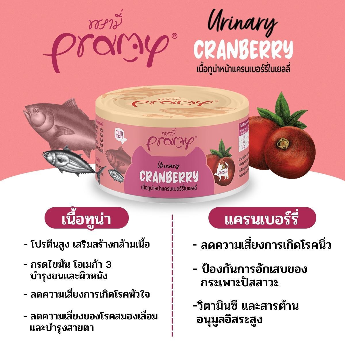 [โหล 12 กระป๋อง] Pramy Canned อาหารเปียกพรามี่ อาหารแมวแบบกระป๋อง ขนาด 80 กรัม