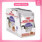 [ยกโหล 12 ซอง] ROYAL CANIN Pouch อาหารเปียก รอยัล คานิน  สำหรับแมวทุกช่วงวัย ขนาดซอง 85 กรัม(g.)