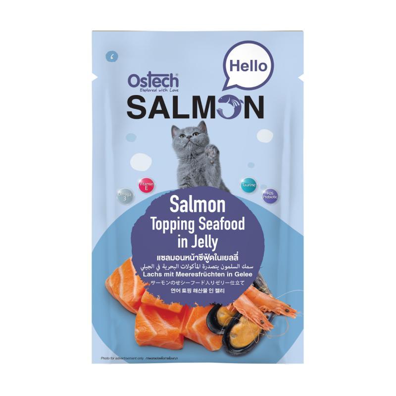 [ยกลัง 48 ซอง] Ostech Hello Salmon อาหารเปียกแมวออสเทค ฮัลโหล แซลมอน ในเยลลี่ เนื้อแซลมอนเน้นๆ ขนาด 70 กรัม