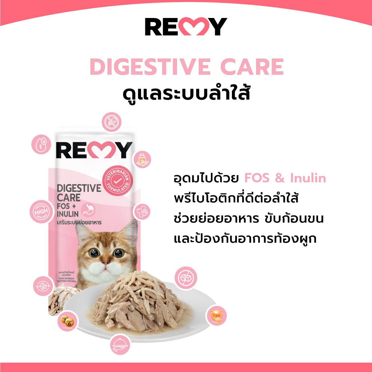 [ยกลัง 48 ซอง] Remy อาหารเปียกแมวเรมี่ ผสมวิตามินบำรุงสุขภาพ สำหรับแมวอายุ 1 ปีขึ้นไป ขนาด 70 กรัม