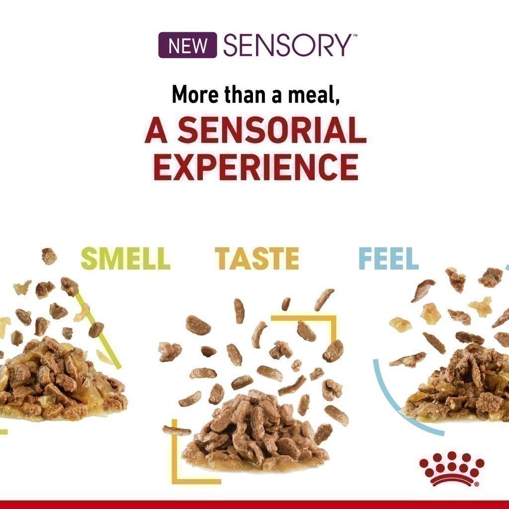 [ยกกล่อง 12 ซอง] Royal Canin Sensory Taste Pouch อาหารเปียกแมวโต กินอาหารยาก เลือกกิน รสชาติพิเศษ อายุ 12 เดือนขึ้นไป (Wet Cat Food, โรยัล คานิน)