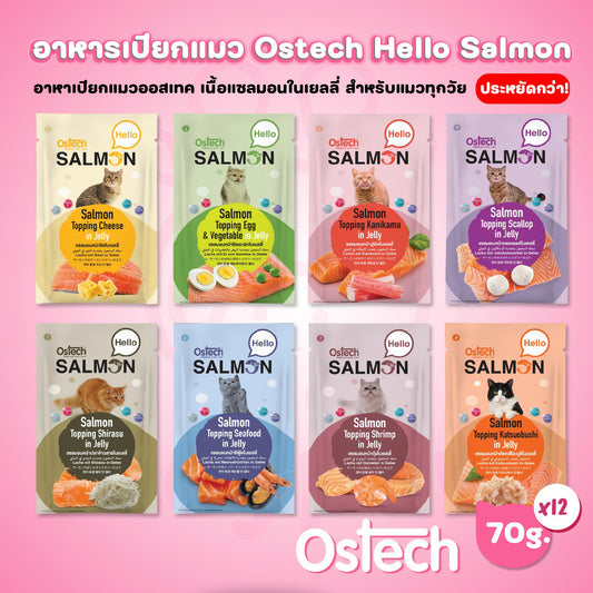 [ยกโหล 12 ซอง] Ostech Hello Salmon อาหารเปียกแมวออสเทค ฮัลโหล แซลมอน ในเยลลี่ เนื้อแซลมอนเน้นๆ ขนาด 70 กรัม