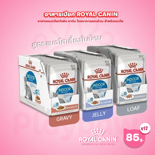 [ยกกล่อง 12 ซอง] Royal Canin Indoor Pouch Jelly อาหารเปียกแมวโต เลี้ยงในบ้านและทำหมัน อายุ 1 ปีขึ้นไป (เจลลี่, Wet Cat Food, โรยัล คานิน)