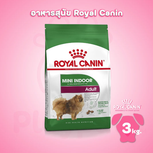 [3kg.] Royal Canin Mini Indoor Adult ขนาด 3 กก. อาหารเม็ดสุนัขโต พันธุ์เล็ก เลี้ยงในบ้าน อายุ 10 เดือน-  8 ปี (Dry Dog Food, โรยัล คานิน)