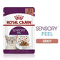 [ยกกล่อง 12 ซอง] Royal Canin Sensory Feel Pouch อาหารเปียกแมวโต กินอาหารยาก เลือกกิน เนื้อสัมผัสพิเศษ อายุ 12 เดือนขึ้นไป (Wet Cat Food, โรยัล คานิน)