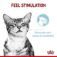 [ยกกล่อง 12 ซอง] Royal Canin Sensory Feel Pouch อาหารเปียกแมวโต กินอาหารยาก เลือกกิน เนื้อสัมผัสพิเศษ อายุ 12 เดือนขึ้นไป (Wet Cat Food, โรยัล คานิน)