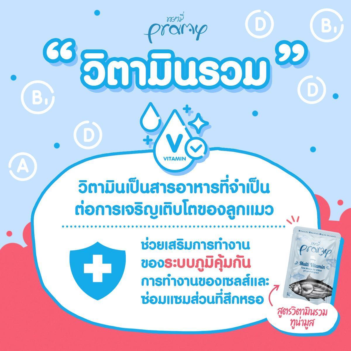 [ยกลัง 4 โหล] Pramy อาหารเปียกแมว พรามี่ บำรุงสุขภาพ ขนาด 70 กรัม/ซอง