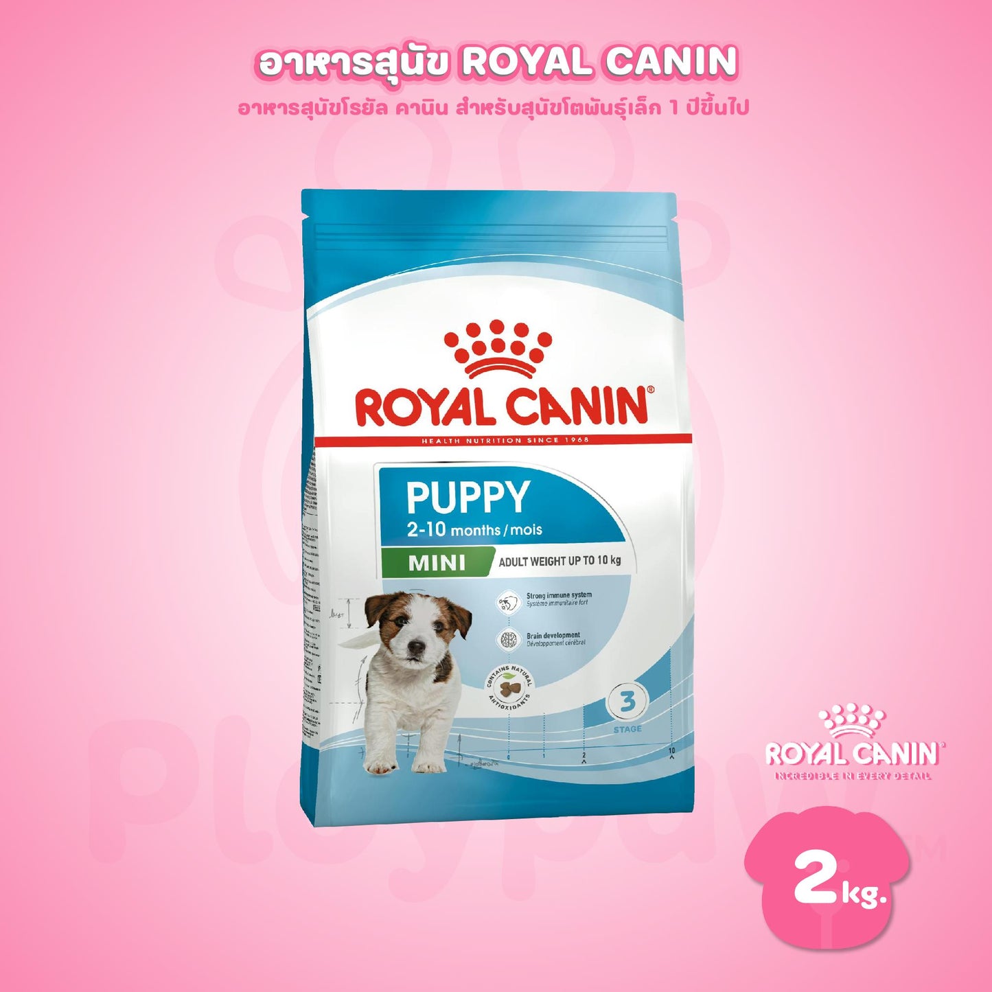 [2kg] ROYAL CANIN โรยัล คานิน อาหารลูกสุนัข พันธุ์เล็ก ชนิดเม็ด ขนาด 2 กก. (MINI PUPPY)