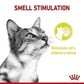 [ยกกล่อง 12 ซอง] Royal Canin Sensory Smell Pouch อาหารเปียกแมวโต กินอาหารยาก เลือกกิน กลิ่นหอมพิเศษ อายุ 12 เดือนขึ้นไป (,Wet Cat Food, โรยัล คานิน)