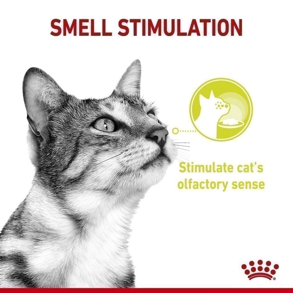 [ยกกล่อง 12 ซอง] Royal Canin Sensory Smell Pouch อาหารเปียกแมวโต กินอาหารยาก เลือกกิน กลิ่นหอมพิเศษ อายุ 12 เดือนขึ้นไป (,Wet Cat Food, โรยัล คานิน)