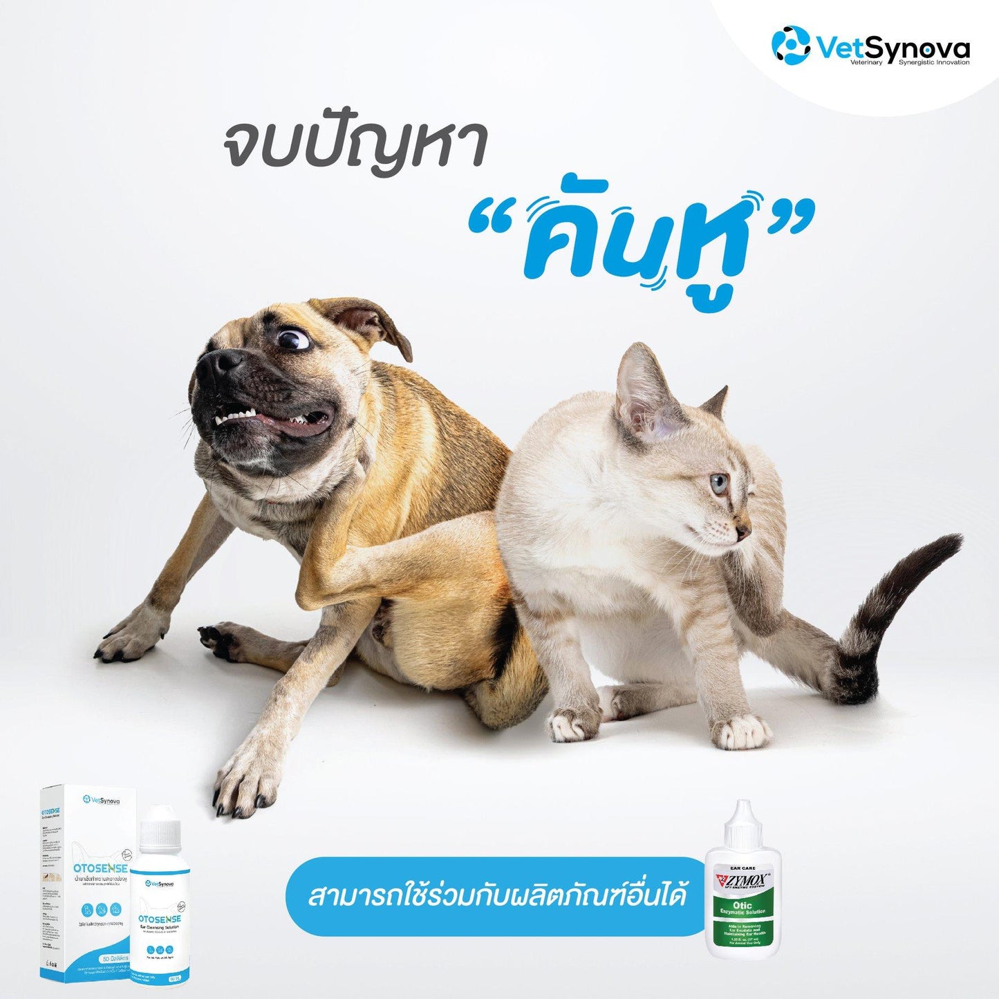 OTOSENSE น้ำยาเช็ดหู ทำความสะอาดช่องหู ฆ่าเชื้อ ลดกลิ่น กำจัดไรหู สำหรับสัตว์เลี้ยง ขนาด 50 มล.