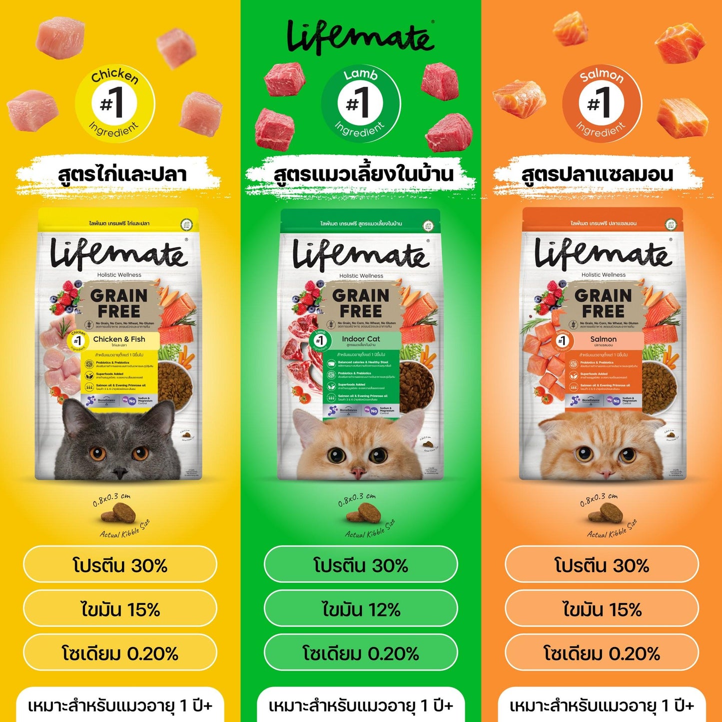 Lifemate Grainfree Holistic wellness อาหารแมวไลฟ์เมท ปราศจากธัญพืช ขนาดทดลอง 350-370 กรัม