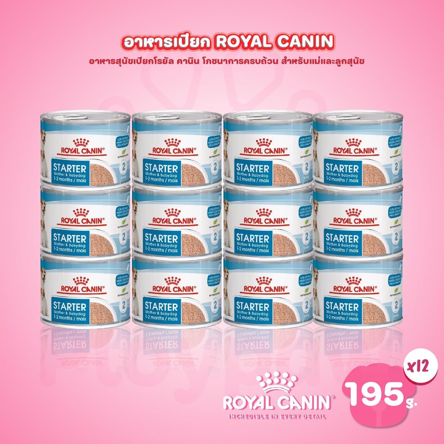 [ยกถาด 12 กระป๋อง] Royal Canin Starter Mousse อาหารเปียกแม่สุนัข ตั้งท้อง 6 สัปดาห์ขึ้นไป - ให้นม และ ลูกสุนัขหย่านม อายุ 1-2 เดือน (เนื้อมูส, Canned Dog Food, โรยัล คานิน)