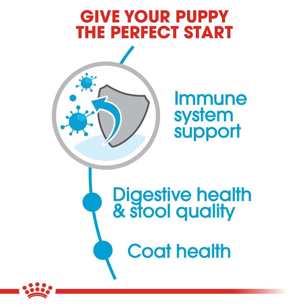 [1.5kg.] ROYAL CANIN โรยัล คานิน อาหารลูกสุนัข พันธุ์เล็ก เลี้ยงในบ้าน ขนาด 1.5 กก. ชนิดเม็ด (MINI INDOOR PUPPY) [500 g]