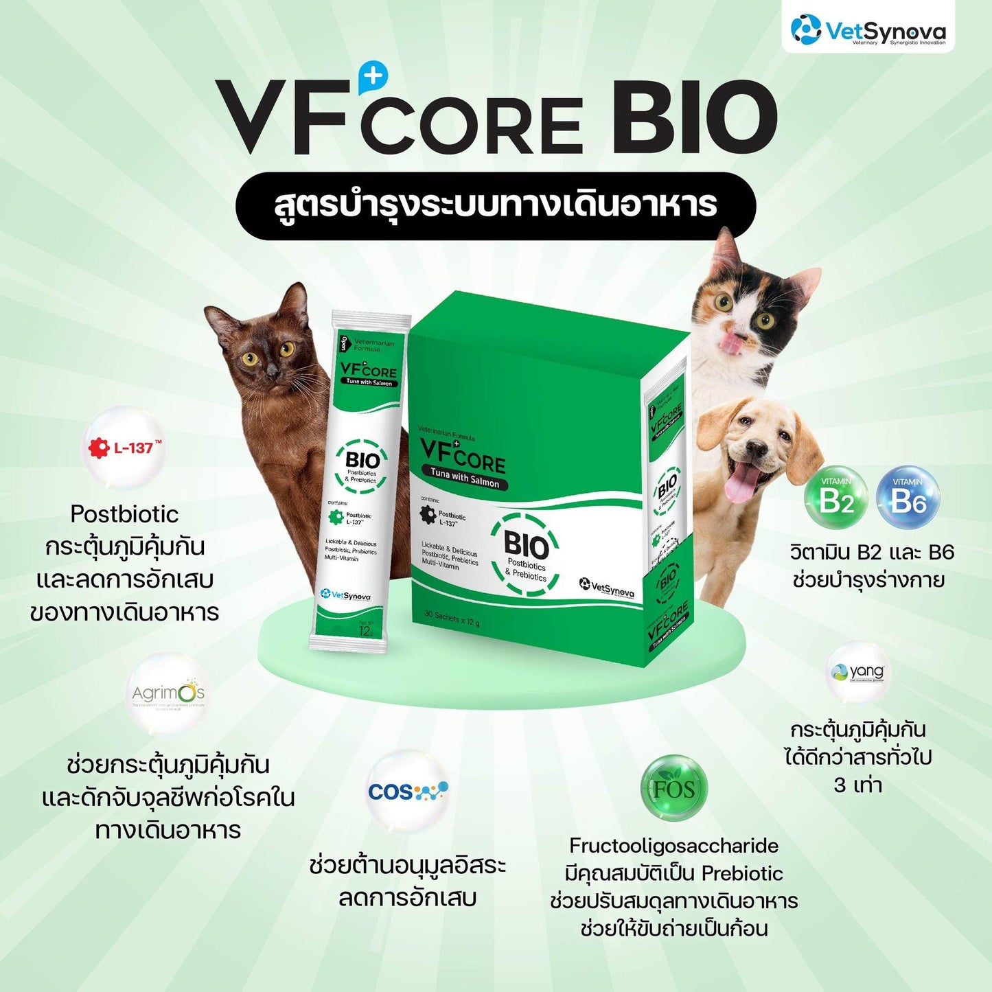 [ยกกล่อง 30 ซอง] VF Core Bio ขนมแมวเลีย อาหารเสริมรูปแบบขนมแมวเลีย ดูแลระบบทางเดินอาหาร ขนาด 12กรัม/ซอง