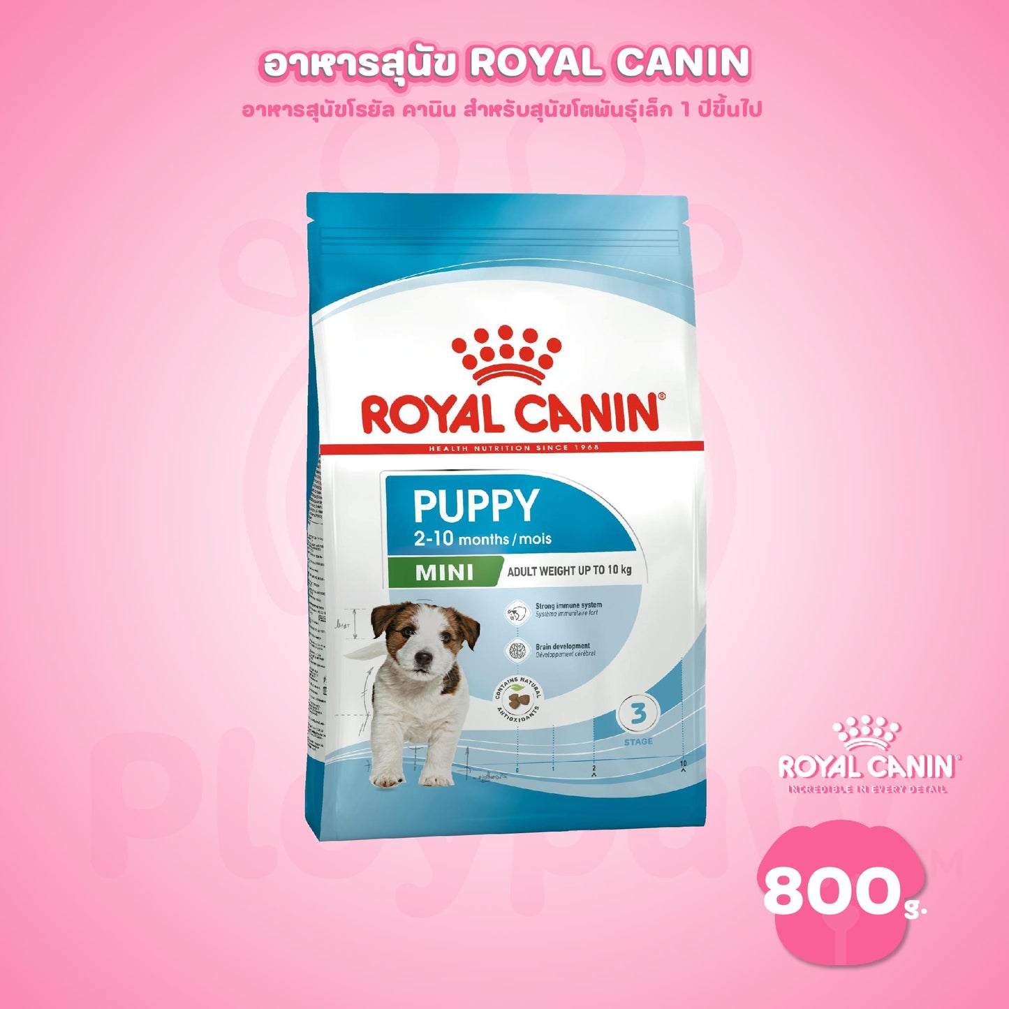 [800g] ROYAL CANIN โรยัล คานิน อาหารลูกสุนัข พันธุ์เล็ก ชนิดเม็ด (MINI PUPPY)