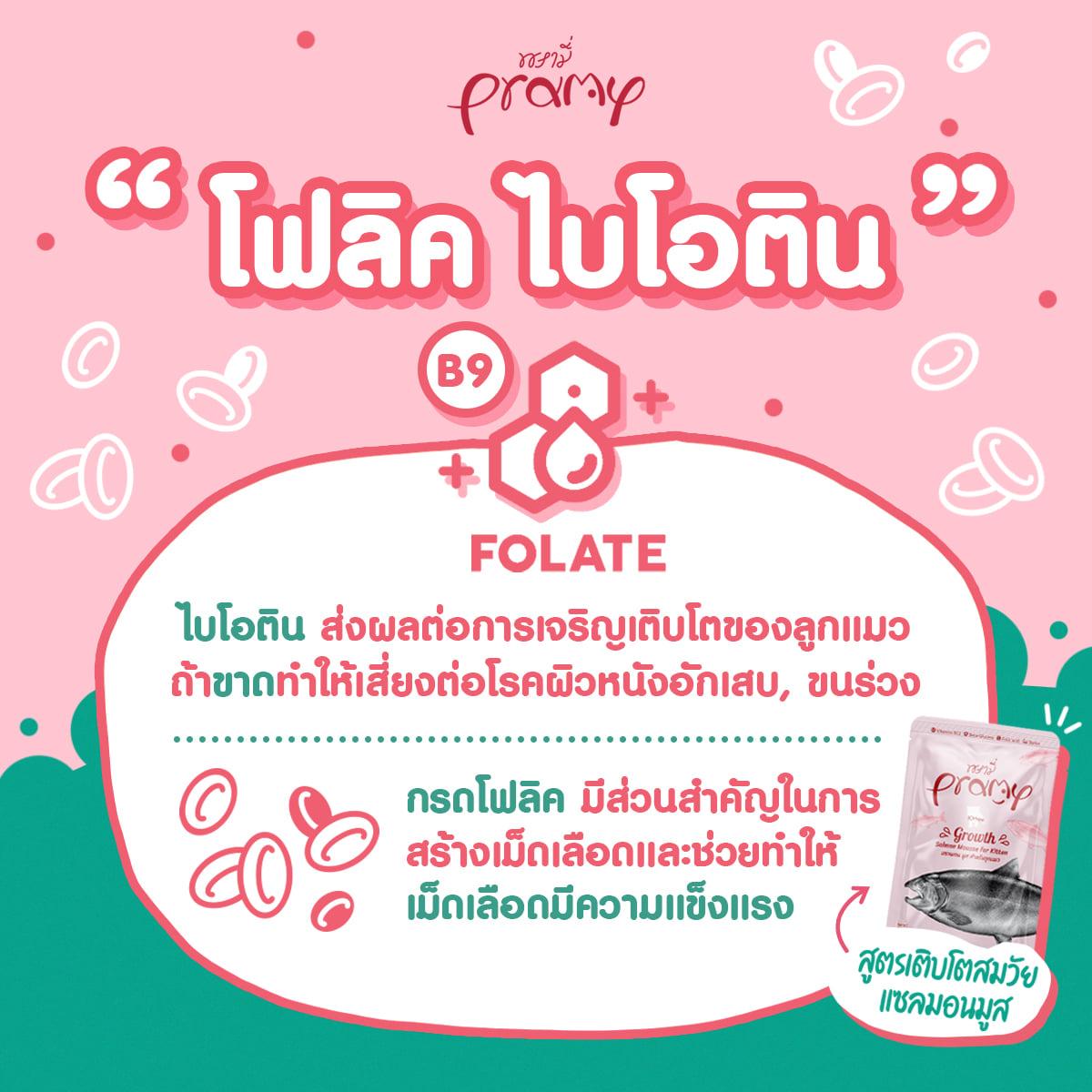 [ยกลัง 4 โหล] Pramy อาหารเปียกแมว พรามี่ บำรุงสุขภาพ ขนาด 70 กรัม/ซอง