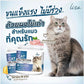 ผงคอลลาเจนไข่เต่า Lisa cat collagen ผงโรยอาหาร บำรุงขน เสริมสร้างกล้ามเนื้อ เพิ่มความอยากอาหารสำหรับสัตว์เลี้ยง ขนาด 60g