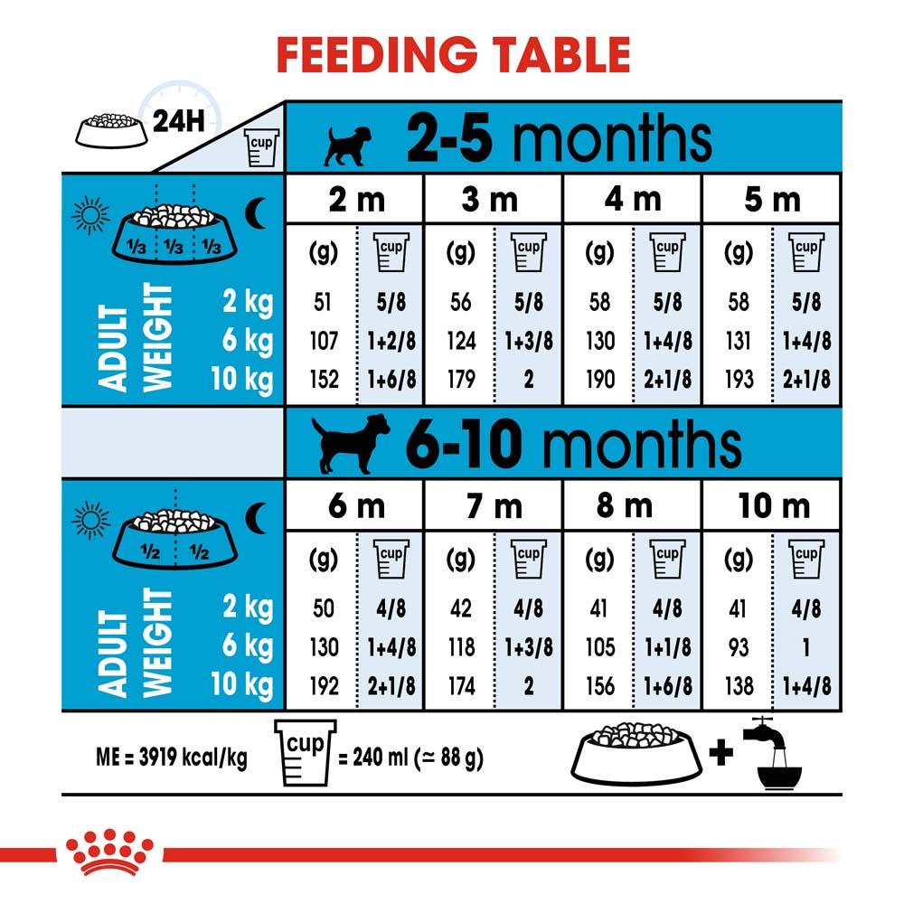 [500g.] ROYAL CANIN โรยัล คานิน อาหารลูกสุนัข พันธุ์เล็ก เลี้ยงในบ้าน ขนาด 500g ชนิดเม็ด (MINI INDOOR PUPPY) [500 g]