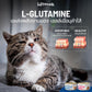 Lifemate Cat Booster อาหารพักฟื้นสูตรโภชนาการครบถ้วน อาหารเปียกเพิ่มพลังงาน สำหรับแมว ขนาด 150 กรัม