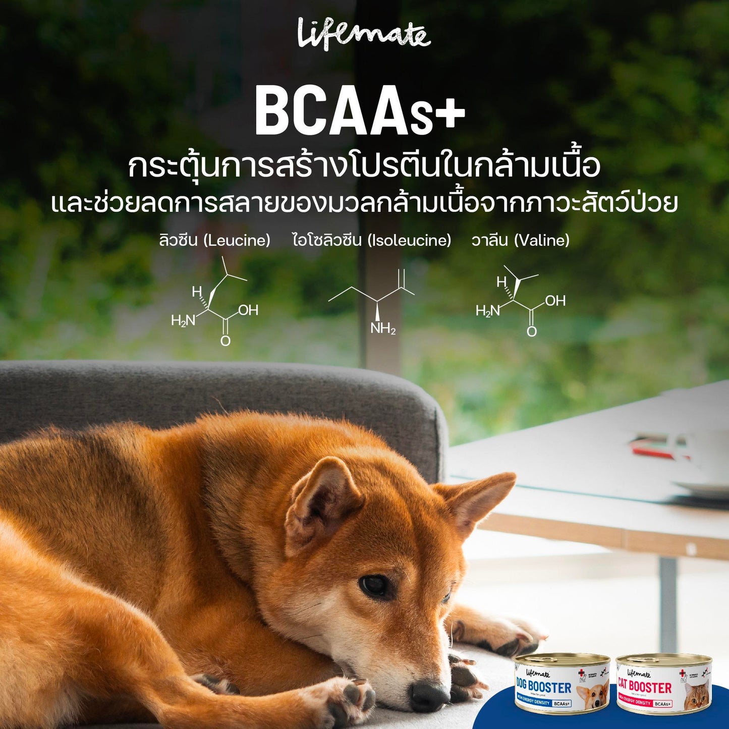 Lifemate Dog Booster อาหารพักฟื้นสูตรโภชนาการครบถ้วน อาหารเปียกเพิ่มพลังงาน สำหรับสุนัข ขนาด 150 กรัม