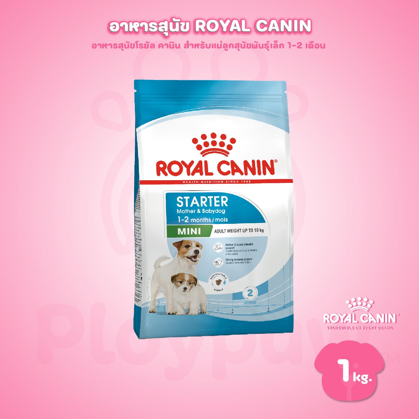 [1kg.] Royal Canin Mini Starter Mother & Baby Dog 1 กก. อาหารเม็ดแม่สุนัขและลูกสุนัขหย่านม พันธุ์เล็กอายุ 1-2 เดือน (โรยัล คานิน)