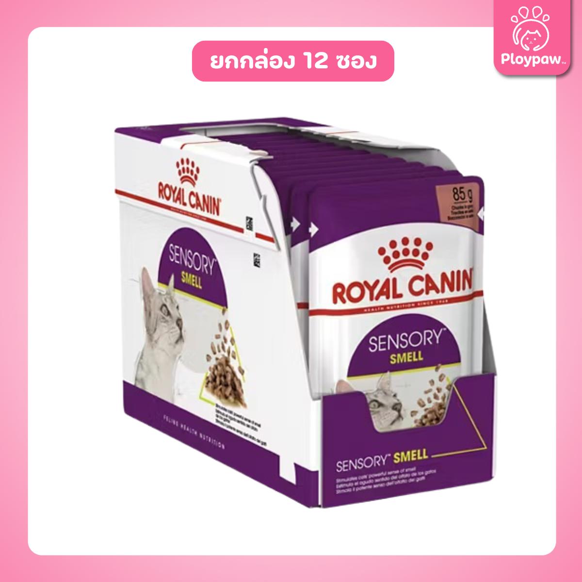 [ยกกล่อง 12 ซอง] Royal Canin Sensory Smell Pouch อาหารเปียกแมวโต กินอาหารยาก เลือกกิน กลิ่นหอมพิเศษ อายุ 12 เดือนขึ้นไป (,Wet Cat Food, โรยัล คานิน)