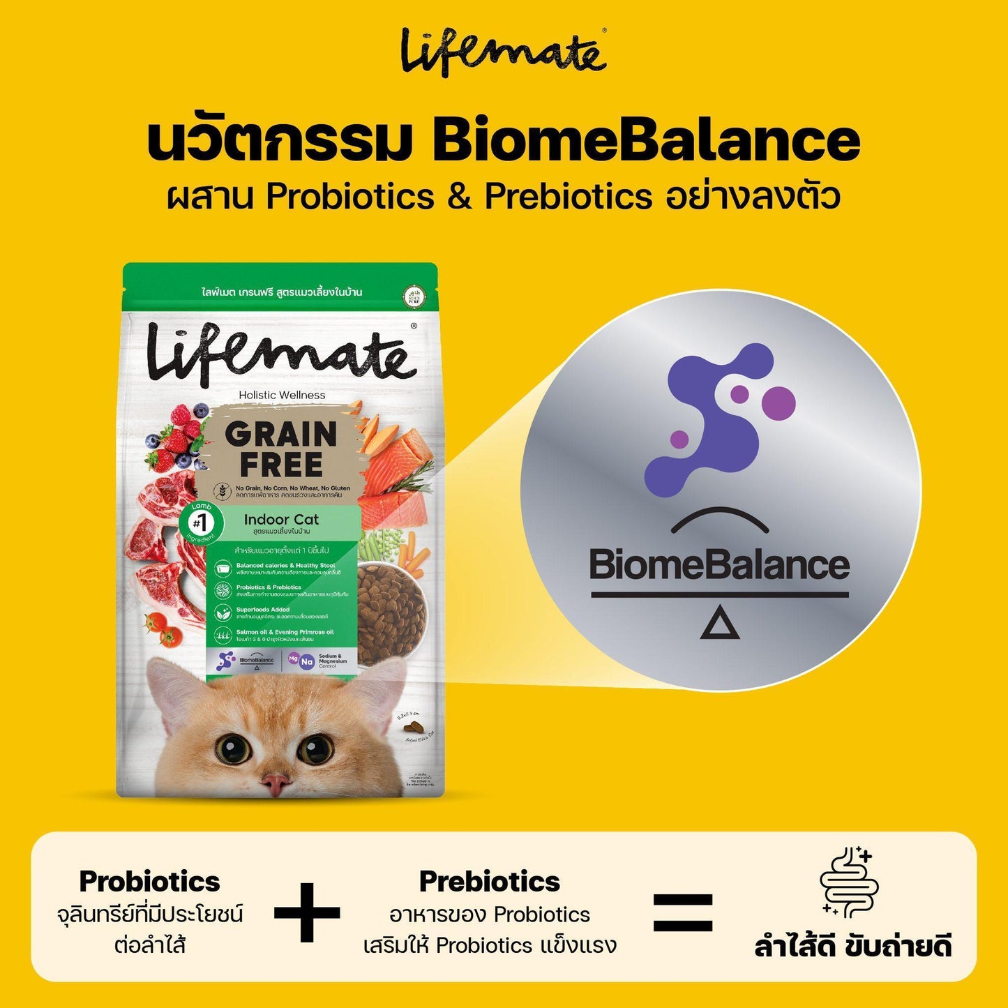 Lifemate Grainfree Holistic wellness อาหารแมวไลฟ์เมท ปราศจากธัญพืช ขนาด 1 กก. [ถุงแพ็คเกจจากโรงงาน]