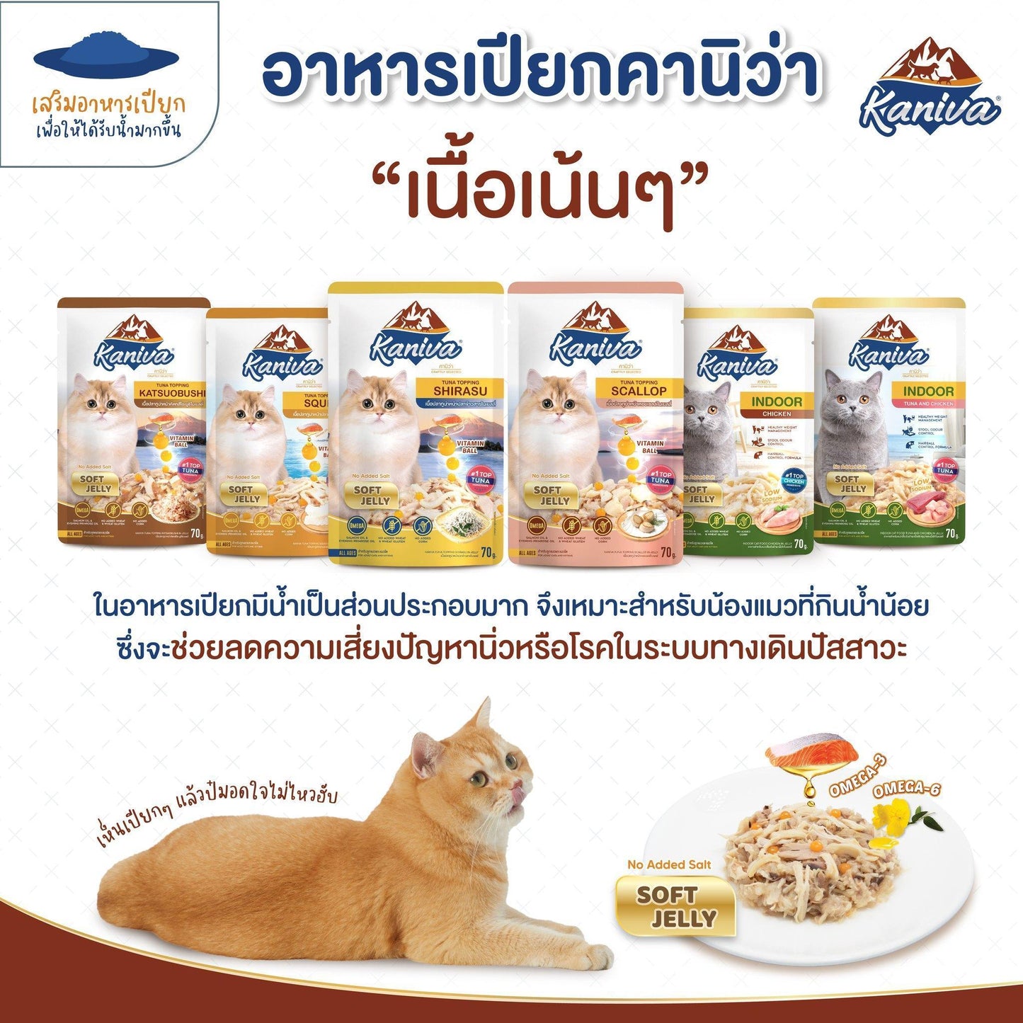 [ยกโหล 12 ซอง] Kaniva Pouch อาหารเปียกแมว คานิว่า แบบซอง ขนาด 70 กรัม