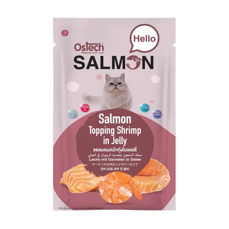 [ยกโหล 12 ซอง] Ostech Hello Salmon อาหารเปียกแมวออสเทค ฮัลโหล แซลมอน ในเยลลี่ เนื้อแซลมอนเน้นๆ ขนาด 70 กรัม