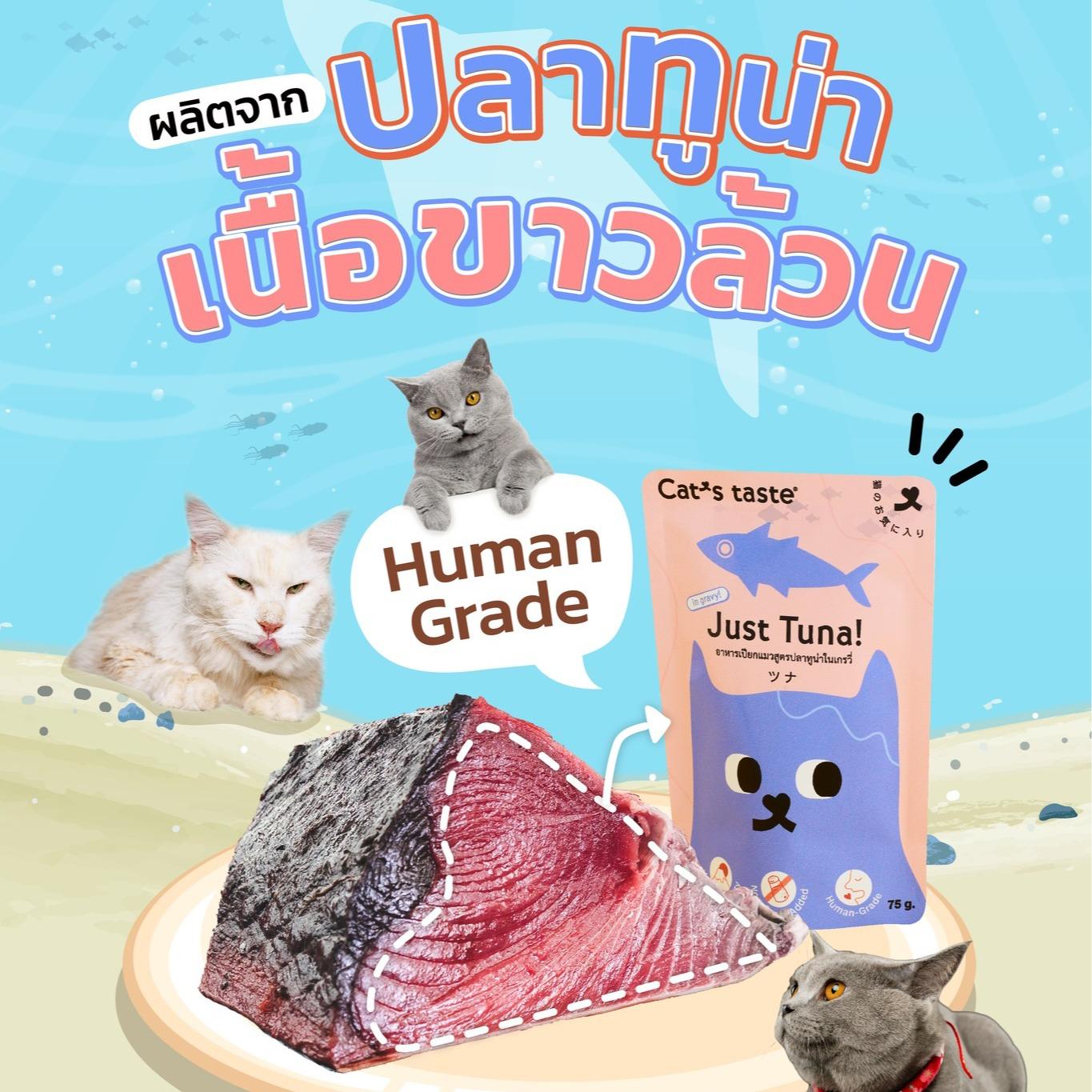 [ขายปลีก] Cat's Taste อาหารเปียกแมว แคทเทส ขนาดซอง 70-75 กรัม