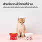 PETKIT Large Ceramic Bowl ชามใส่อาหารเซรามิก ถ้วยเซรามิก ชามเดี่ยวใส่อาหาร