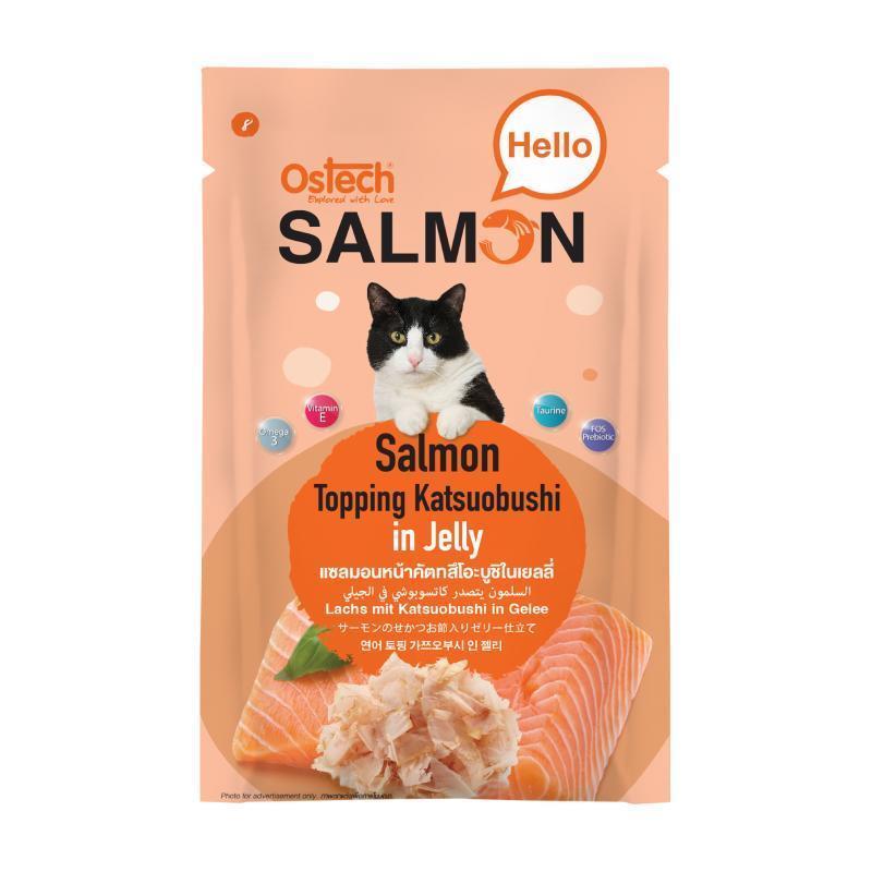 [ยกลัง 48 ซอง] Ostech Hello Salmon อาหารเปียกแมวออสเทค ฮัลโหล แซลมอน ในเยลลี่ เนื้อแซลมอนเน้นๆ ขนาด 70 กรัม