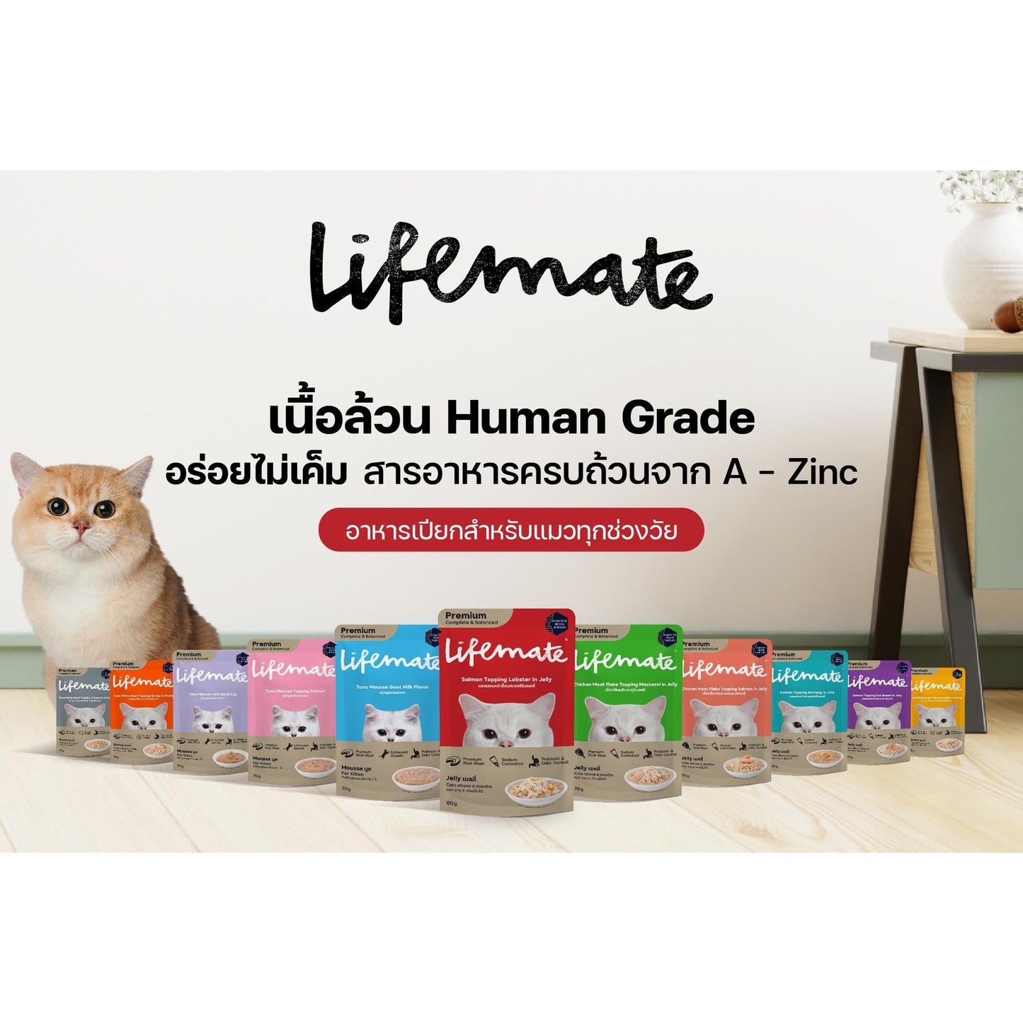 [ยกโหล 12 ซอง] Lifemate อาหารเปียกแมวไลฟ์เมท มูสแมวเด็ก ขนาด 60-70g เนื้อแท้เกรดพรีเมี่ยม ปรับสมดุลลำไส้