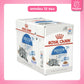 [ยกโหล 12 ซอง] ROYAL CANIN Pouch อาหารเปียก รอยัล คานิน  สำหรับแมวทุกช่วงวัย ขนาดซอง 85 กรัม(g.)