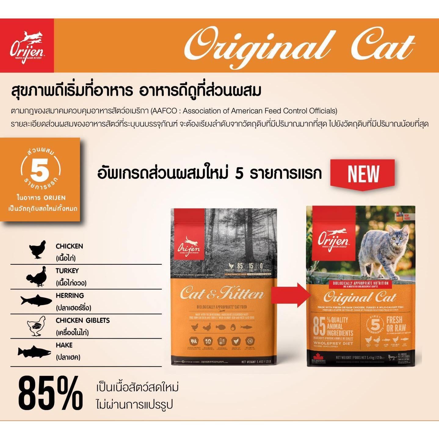 Orijen อาหารแมวออริเจน ขนาด 340 กรัม - Holistic Grain Free