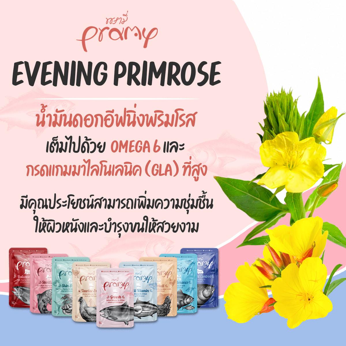 [ยกโหล 12 ซอง] Pramy อาหารเปียกแมว พรามี่ บำรุงสุขภาพ ขนาด 70 กรัม/ซอง